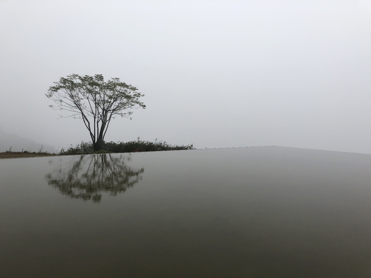 唐鸣教授、陈荣卓教授一行应邀赴重庆市九龙坡区开展农村社区主题调研 唐鸣教授、陈荣卓教授一行应邀赴重庆市九龙坡区开展农村社区主题调研