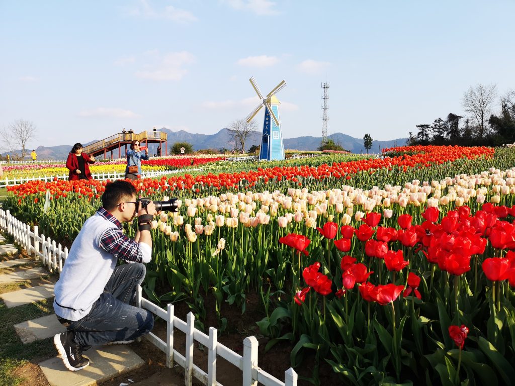 基地博士驻点协助义安区全国农村社区治理实验区建设(七) 基地博士驻点协助义安区全国农村社区治理实验区建设(七)